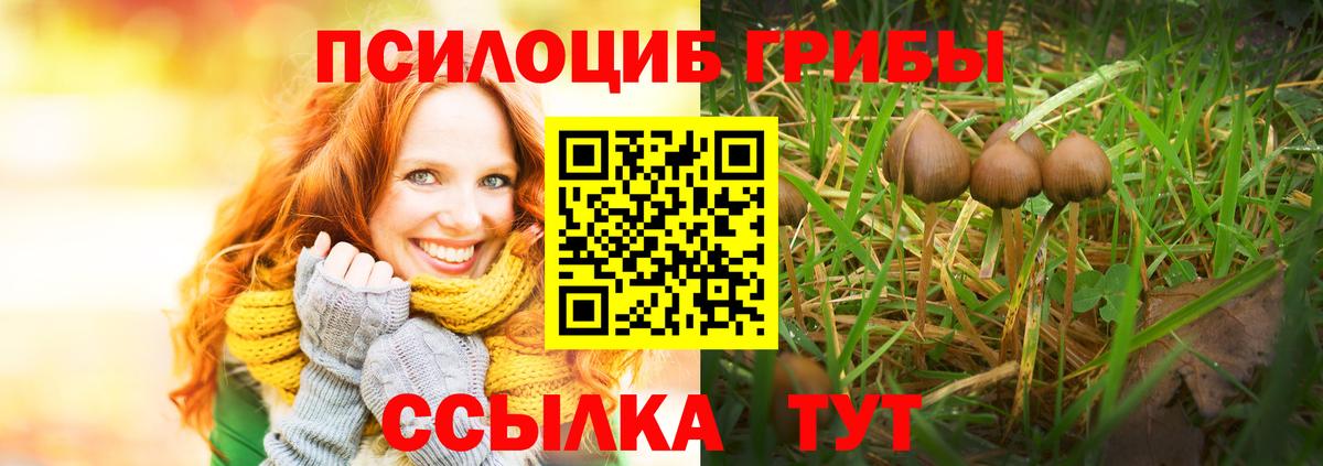 Галлюциногенные грибы мухоморы Майский